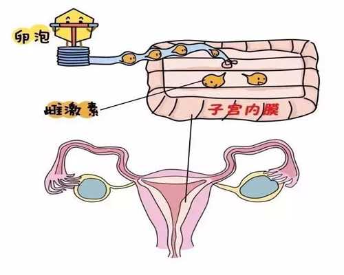 广州试管助孕,孕期饮食详解孕妇每个时期该吃什