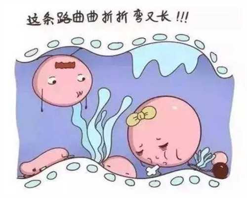 广州代怀孩子,安徽一女子孕25周生下早产双胞胎