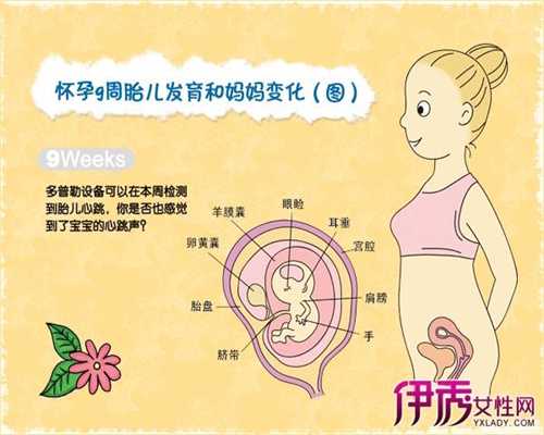 广州代孕微信_孕妇有梅毒对孩子有影响吗