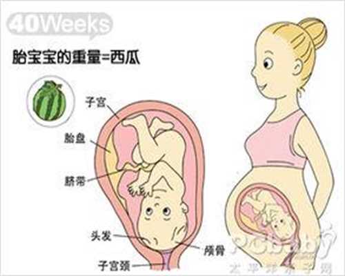 广州代孕不孕咨询_孕囊几天会进入子宫