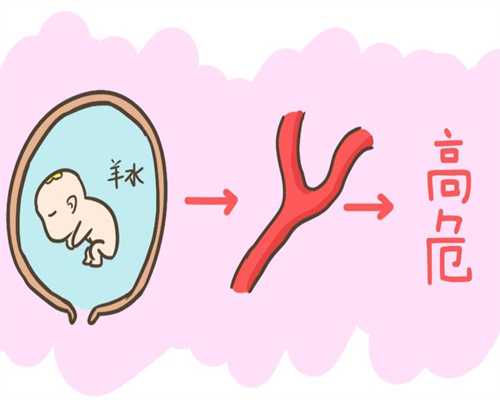 广州代孕成功率_备孕期可以吃虾吗