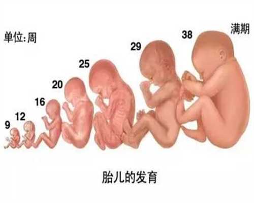 广州代孕套餐_第一次打胎以后会怀孕吗