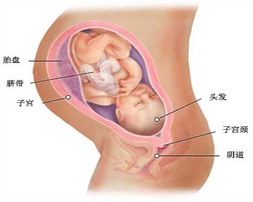 广州代孕在哪里_5A认证代孕网_代孕全包多少钱