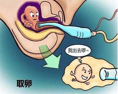 广州代孕套餐_广州试管代孕多少钱_广州借腹代孕生子的费用