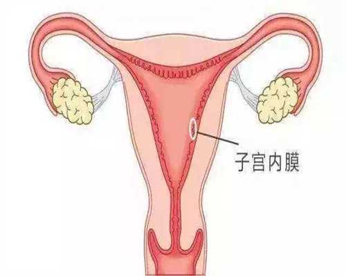 广州代孕网站~广州代孕管理网~广州借卵子生子对女人的身体要求