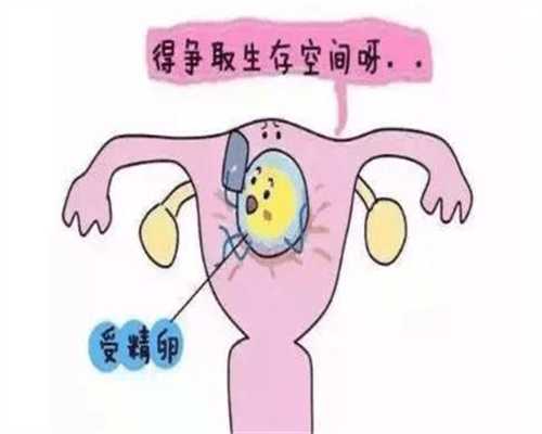 广州代孕网_广州代孕价格多少钱_广州哪家代孕机构好