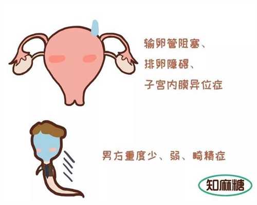 中国代孕网_代孕网品牌_代孕一般什么价格