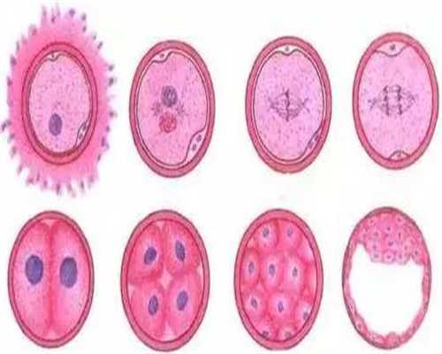 代孕网哪家靠谱-代孕容易出现什么问题-代孕妇能不能吃维生素e