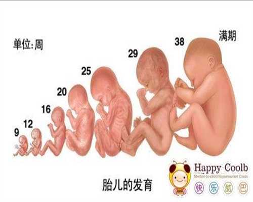 广州代孕微信_代孕网站有几家_代孕产子收费