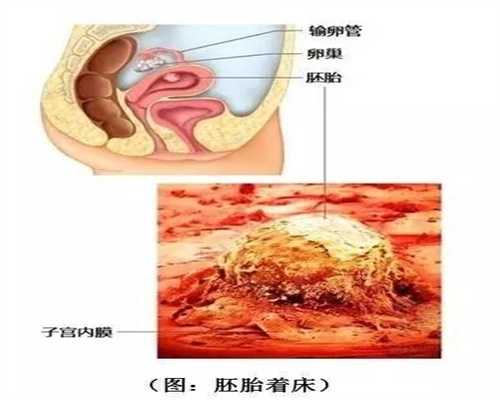 广州代孕成功率有多少-全国可以做供卵试管的医院_宫颈粘液