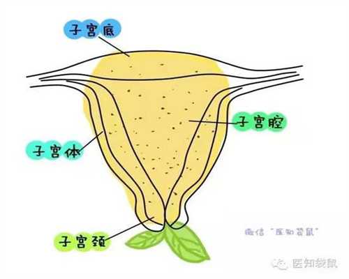 正规代孕地址^-广州三代试管供卵助孕费用_做试管几代成功率高？