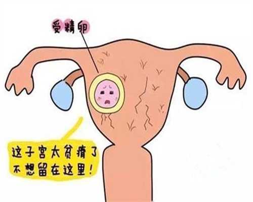 广州助孕中心价格表-代孕中介哪个好_麦肯锡美国试管婴儿教你缓解亚健康有助