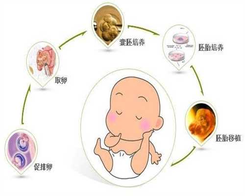 广州做试管取卵-哪里有招代孕妈妈的_到底做试管婴儿成功率会有多少?