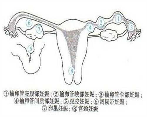 有谁需要代孕的吗-广州代孕的多少钱_超长促排卵方案促排需要打多少针？