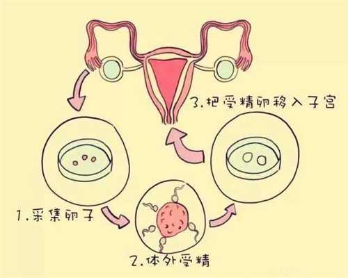 助孕生殖医院代孕妈妈-广州世纪助孕服务_卵巢功能低可以吃克罗米芬吗？