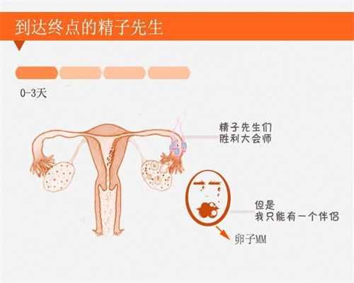 广州代孕包性别-代孕最低多少钱代一个_[印度试管婴儿]试管婴儿攻略：出发前