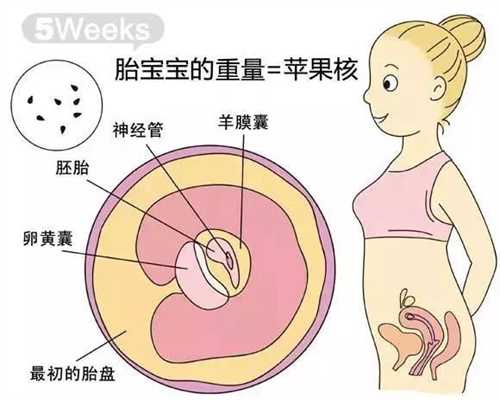 代孕包女孩吗-广州代孕的多少钱_阜阳市医疗机构实施的首例“试管婴儿”来了