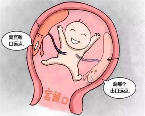 代生子价格-广州代孕生个孩子_美国生殖医学学会“关于不孕症的概述”