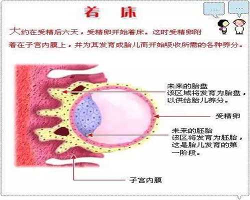 广州找靠谱代孕-什么地方做代孕好_制造试管对妇女的危害(雌性卵子对身体有什