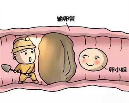 找代孕女人电话-广州专业的助孕包成功_北京市做试管婴儿的妊娠率高吗？