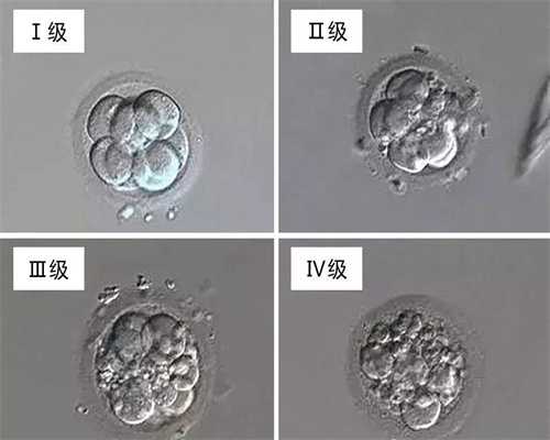 代孕将来孩子的血型-广州试管供卵中介骗局_试管婴儿能否选择男孩或女孩