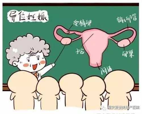 代孕怎么保证成功率-广州公立医院供卵要求_省级公立医院做试管婴儿要多少钱
