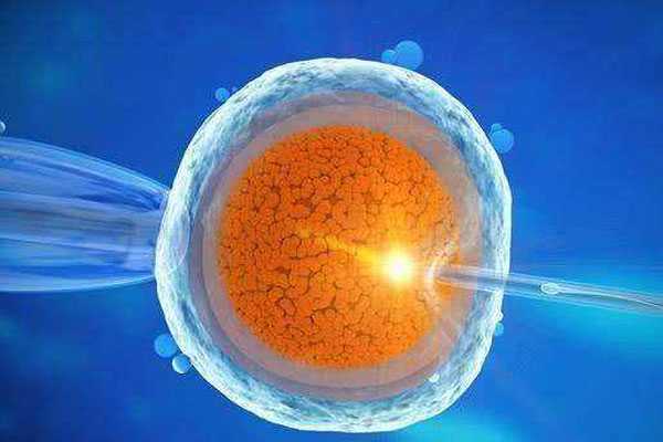 广州试管代孕的成功率怎么样-代孕产子服务_3ab的囊胚质量怎么样、3ab囊胚移植